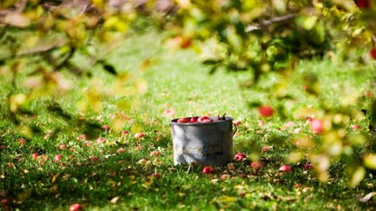 Самые полезные продукты для организма