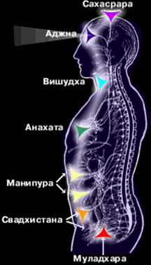чакры. расположение чакр
