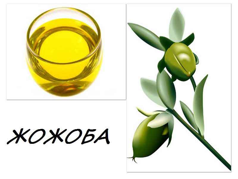 Масло жожоба